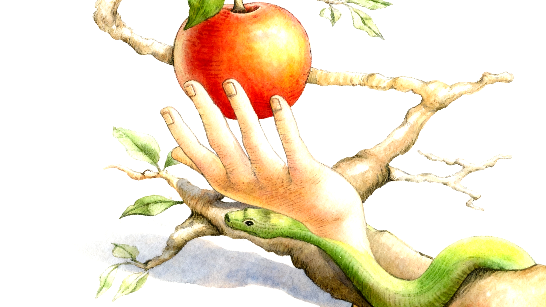 Forbidden Fruit2025-11-13T07:07:30.475Z"